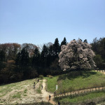 【福島】めっちゃえぇとこ！