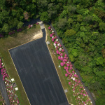 トンビ具合がおもしろい。